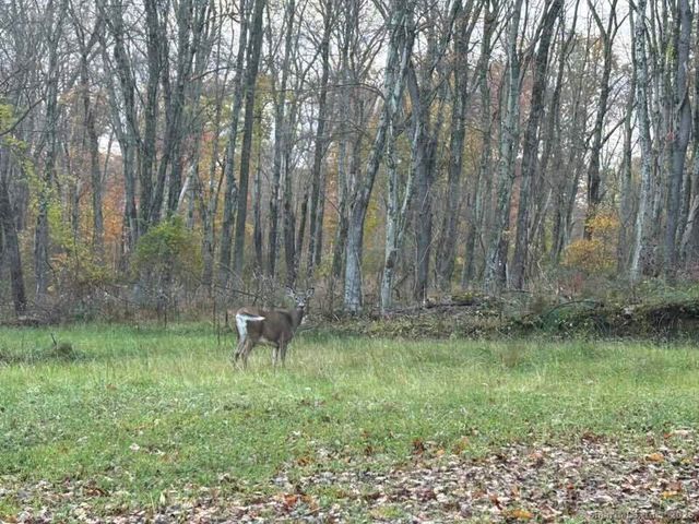 a view of swimming pool with sitting area