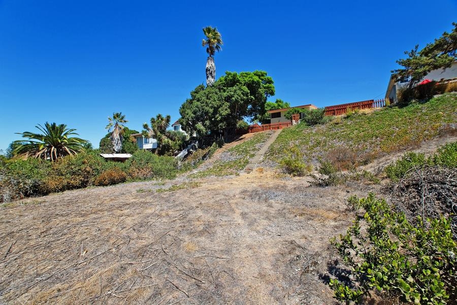 5440 Redding Road San Diego, CA 92115 - Photo 24 of 25 View from lower terrace up to house