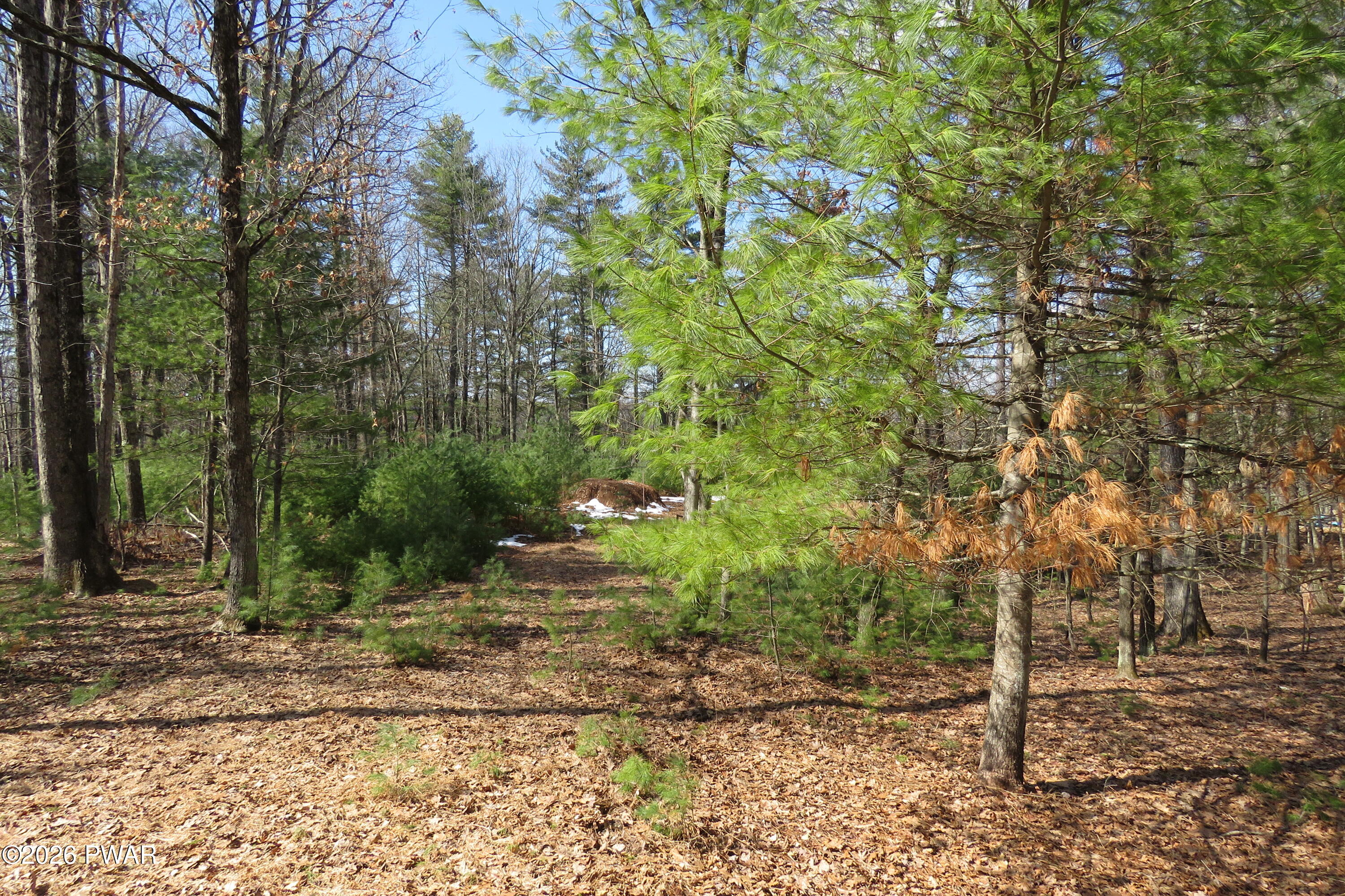 Lot 30 Ledgecrest Road Greentown, PA 18426 - Photo 2 of 22