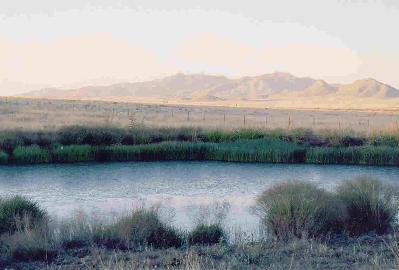 0 Vaughn Loop Rd Extension Sonoita, AZ 85637 - Photo 1 of 2