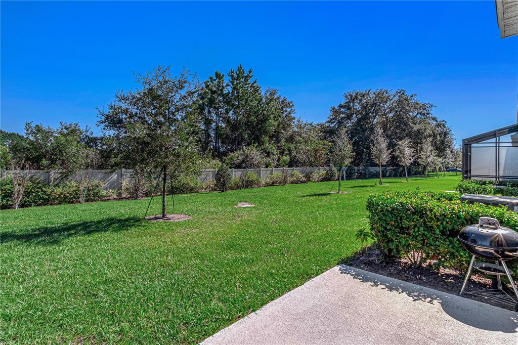 2875 Narcoossee Cmns Way St. Cloud, FL 34771 - Photo 35 of 50 a view of a garden with a slide