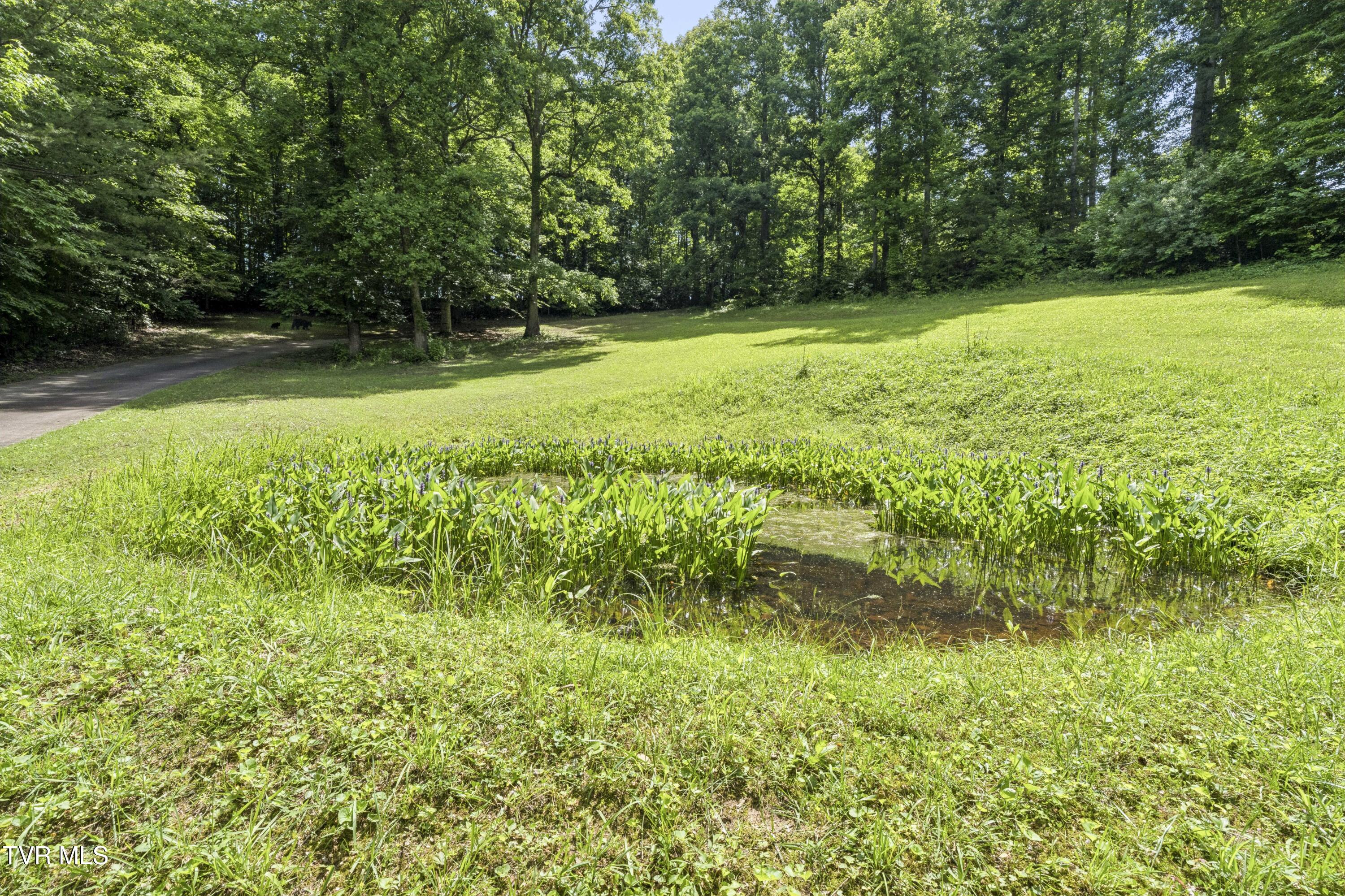 1820 Frank Roberts Road Afton, TN 37616 - Photo 61 of 73 Frank2-7
