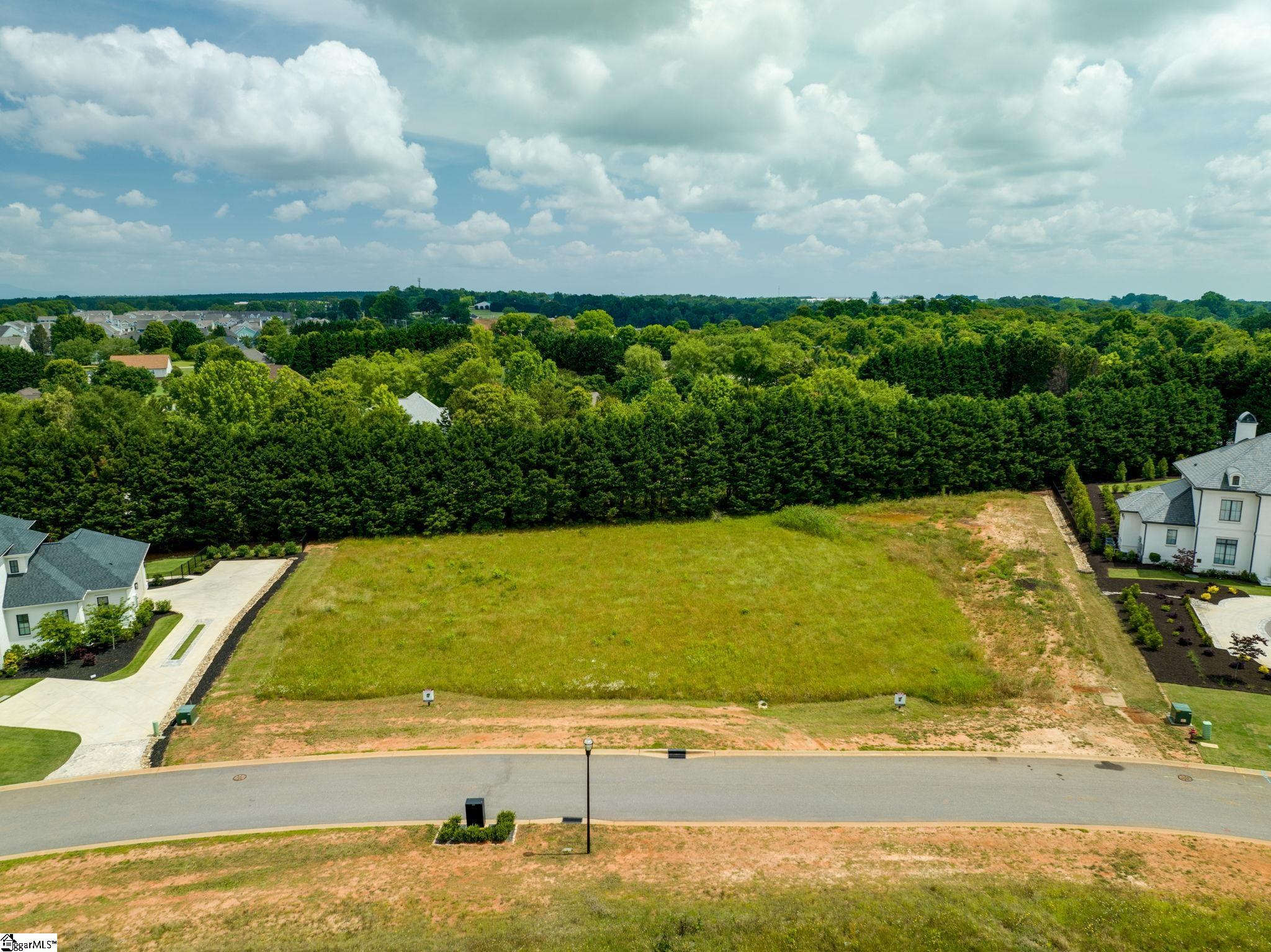 577 Adaliz Way Greer, SC 29651 - Photo 7 of 15