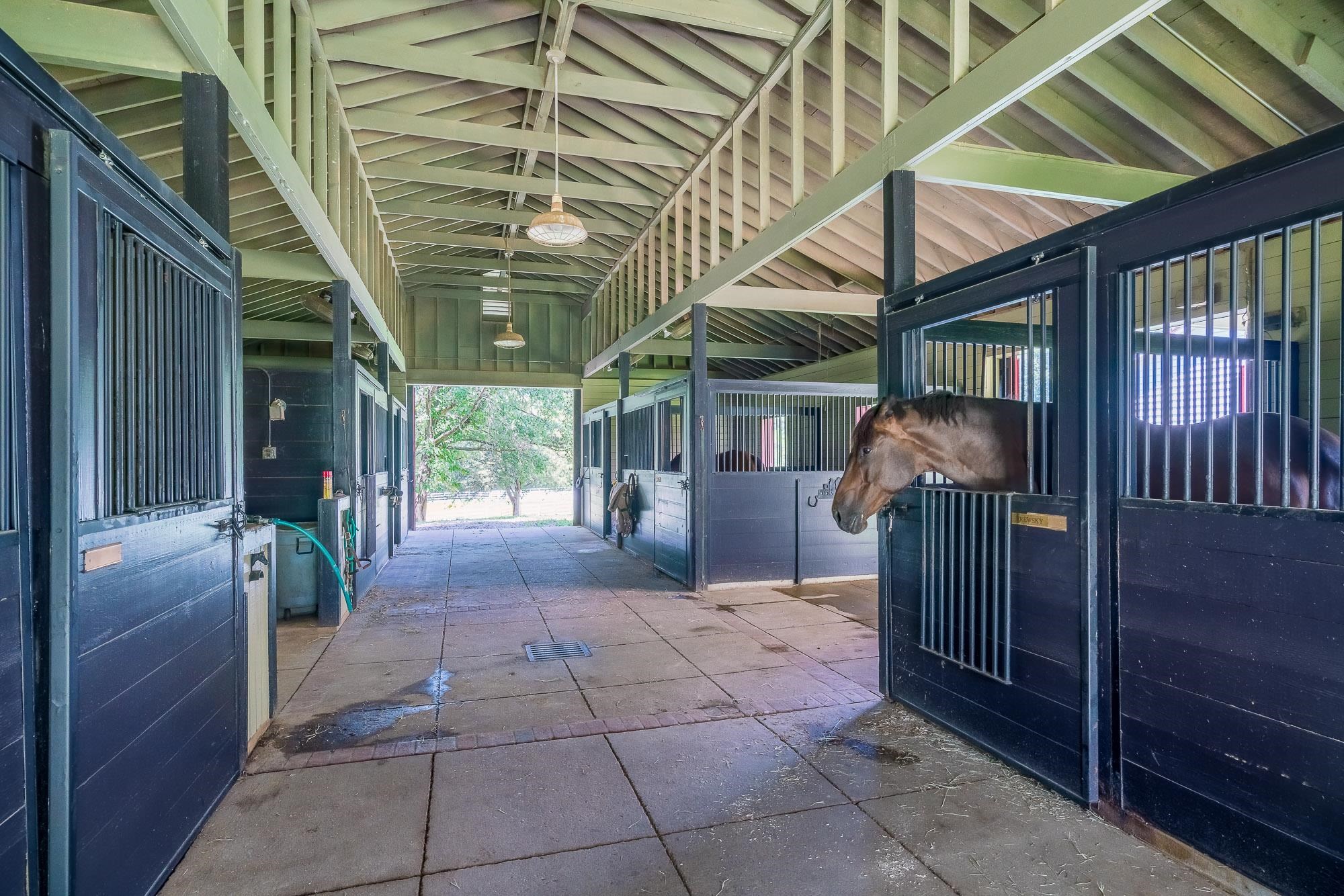 641 Pisgah Road Eads, TN 38028 - Photo 19 of 24 Gallery Image 19