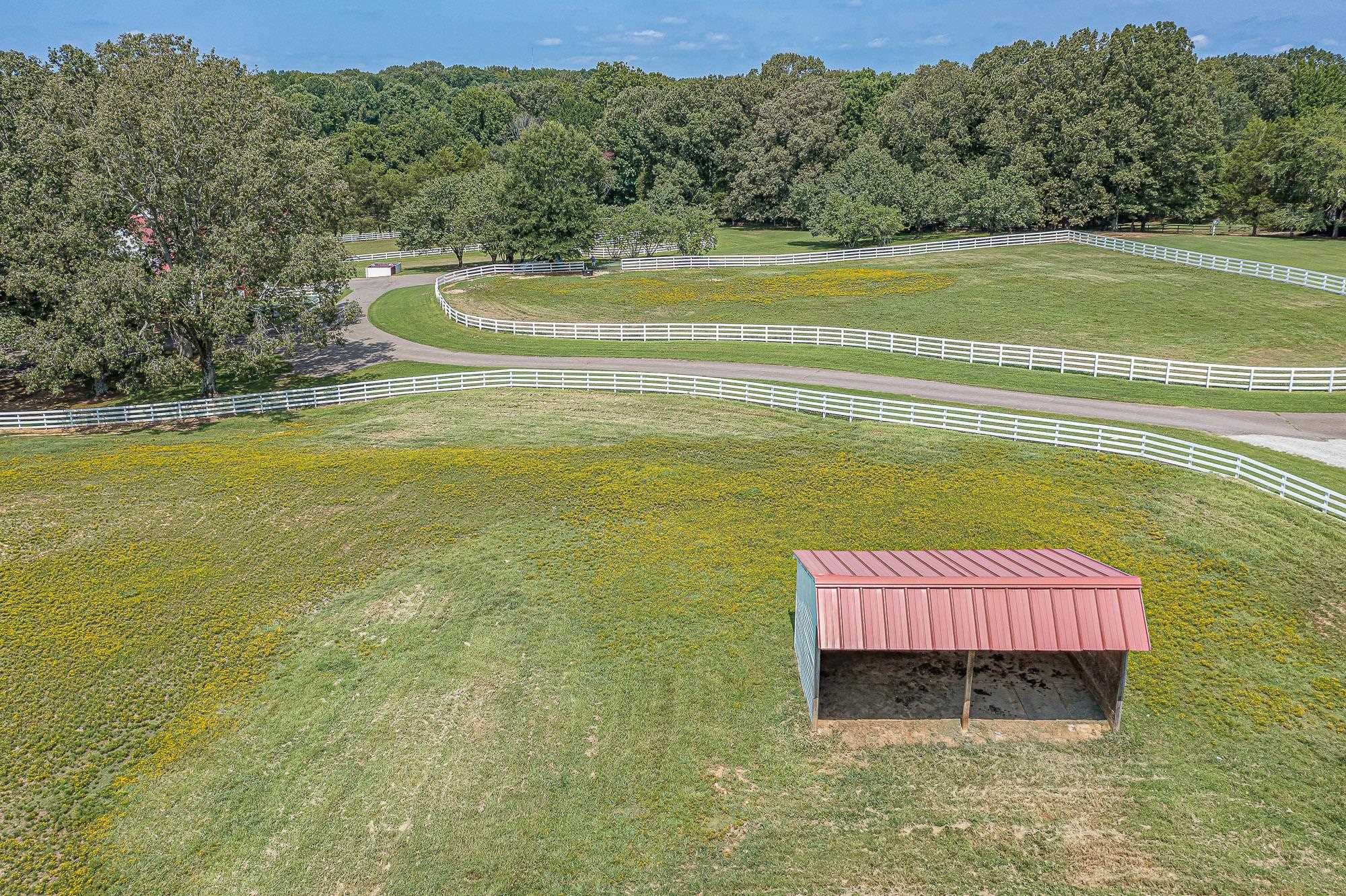 641 Pisgah Road Eads, TN 38028 - Photo 7 of 24 Gallery Image 7