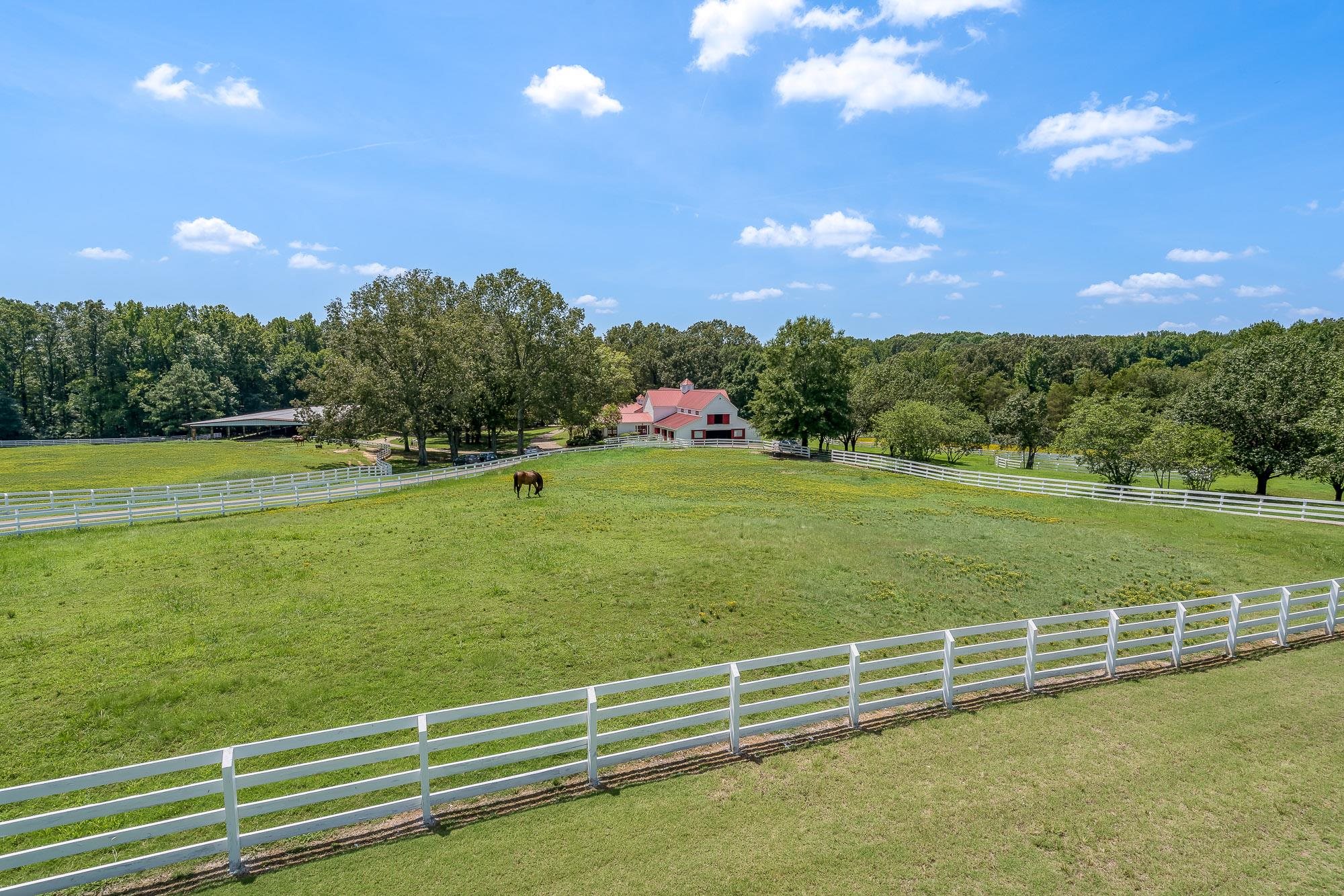 641 Pisgah Road Eads, TN 38028 - Photo 9 of 24 Gallery Image 9
