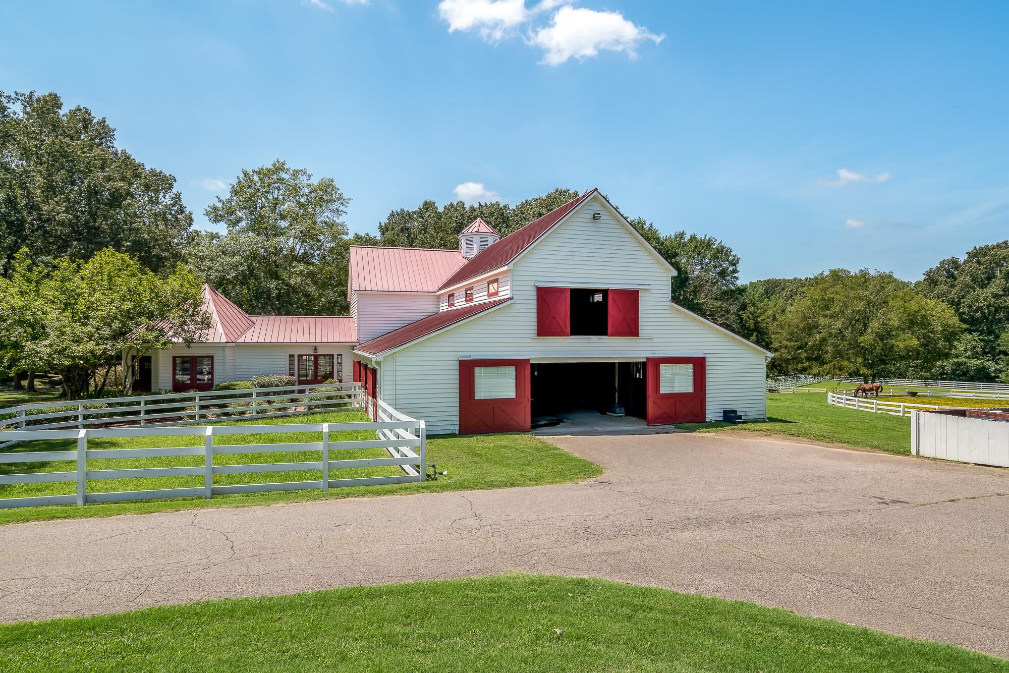 641 Pisgah Road Eads, TN 38028 - Photo 10 of 24 Gallery Image 10