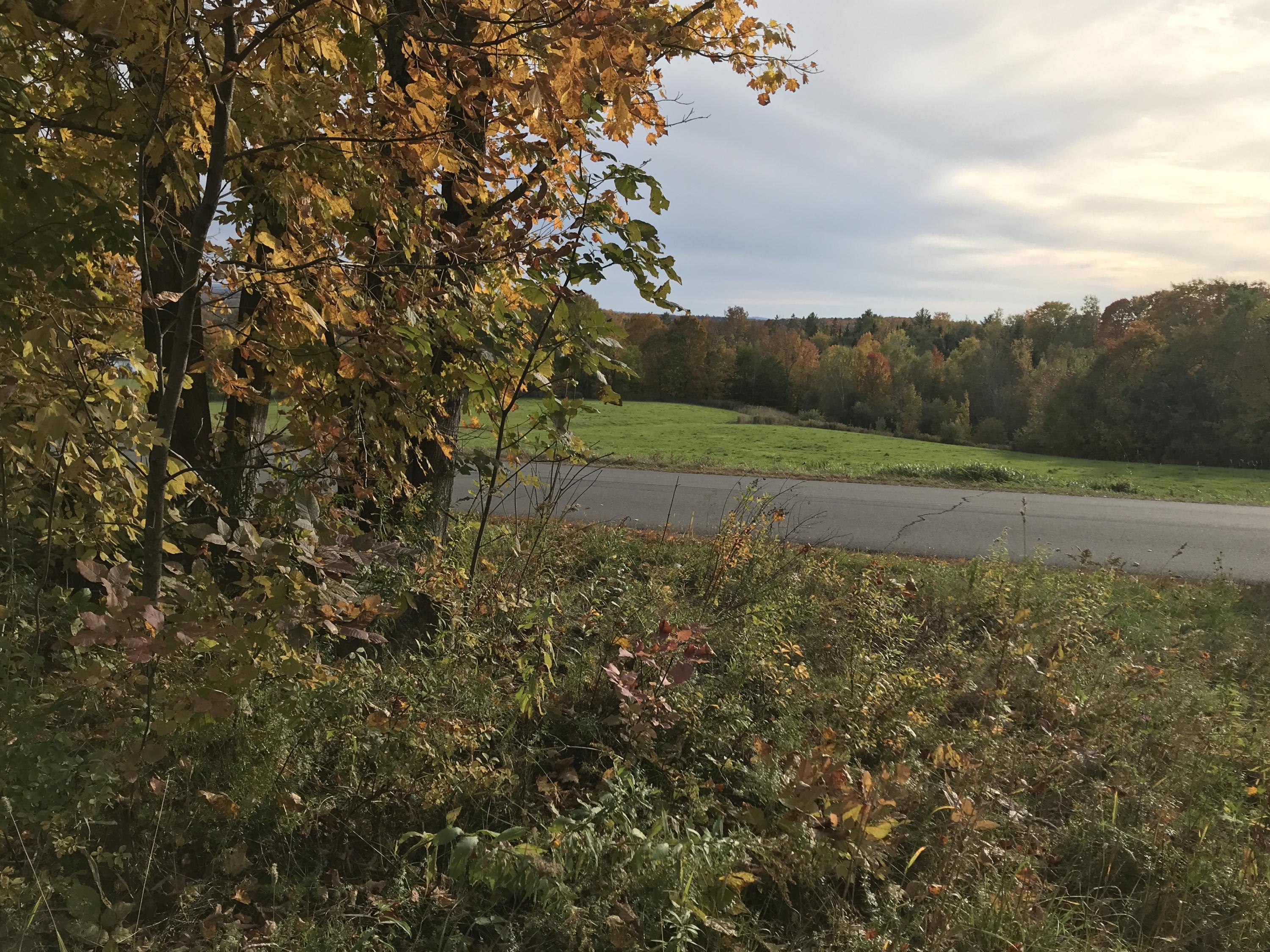 Lot 8 Oliver Hill Road Garland, ME 04939 - Photo 5 of 12 IMG_1304