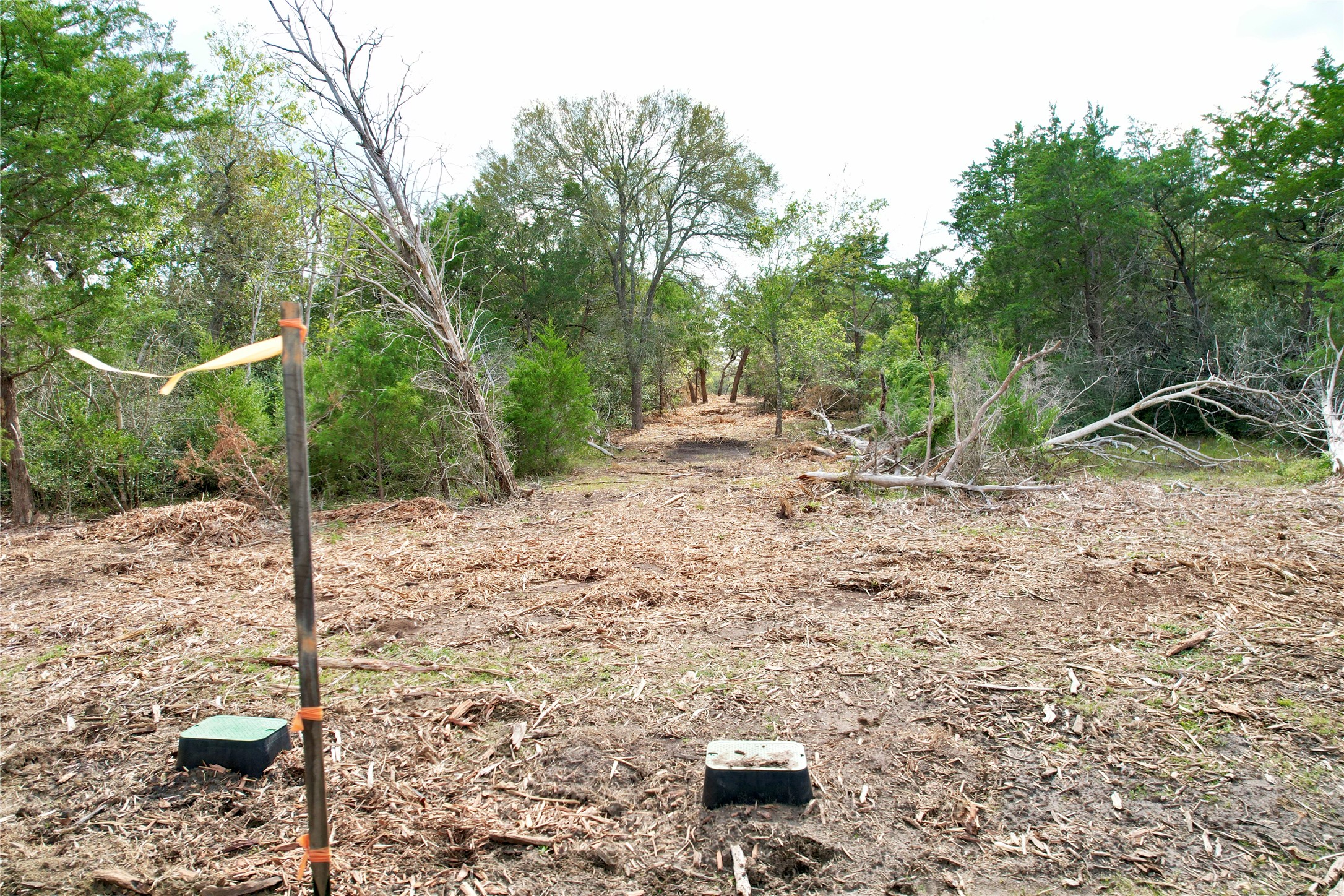View of undeveloped land