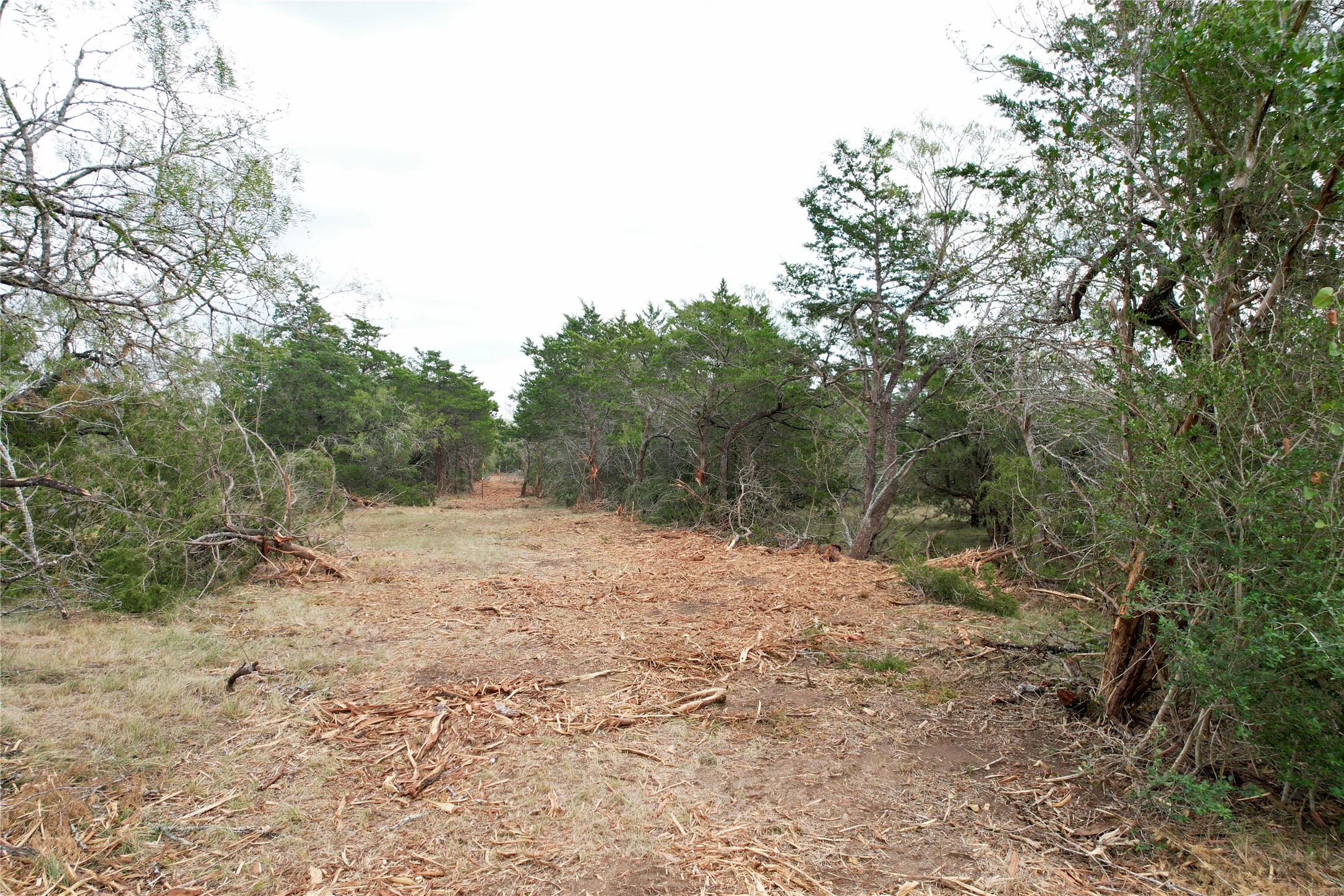 Tbd Lot 11 Tbd Road Flatonia, TX 78941 - Photo 5 of 7 View of wooded area
