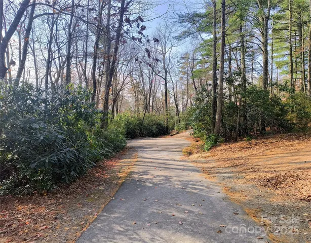 a view of road with trees
