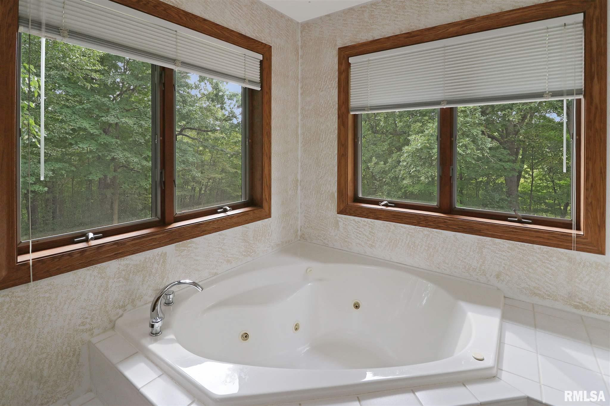 202 East Miller Road Edelstein, IL 61526 - Photo 18 of 50 Gallery Image 18