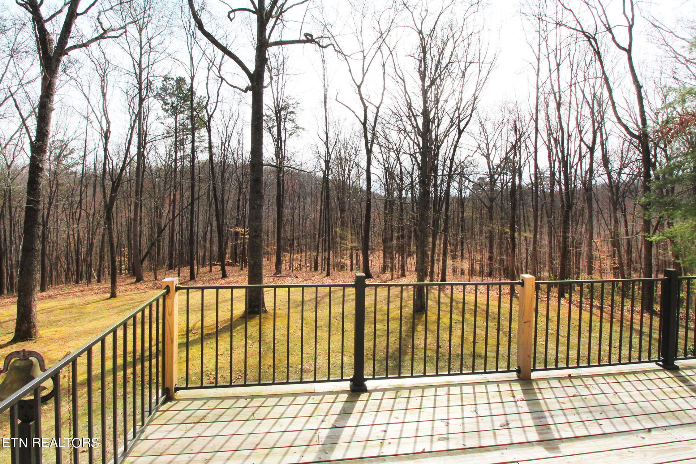 240 Island Ford Road Rocky Top, TN 37769 - Photo 12 of 60 Deck