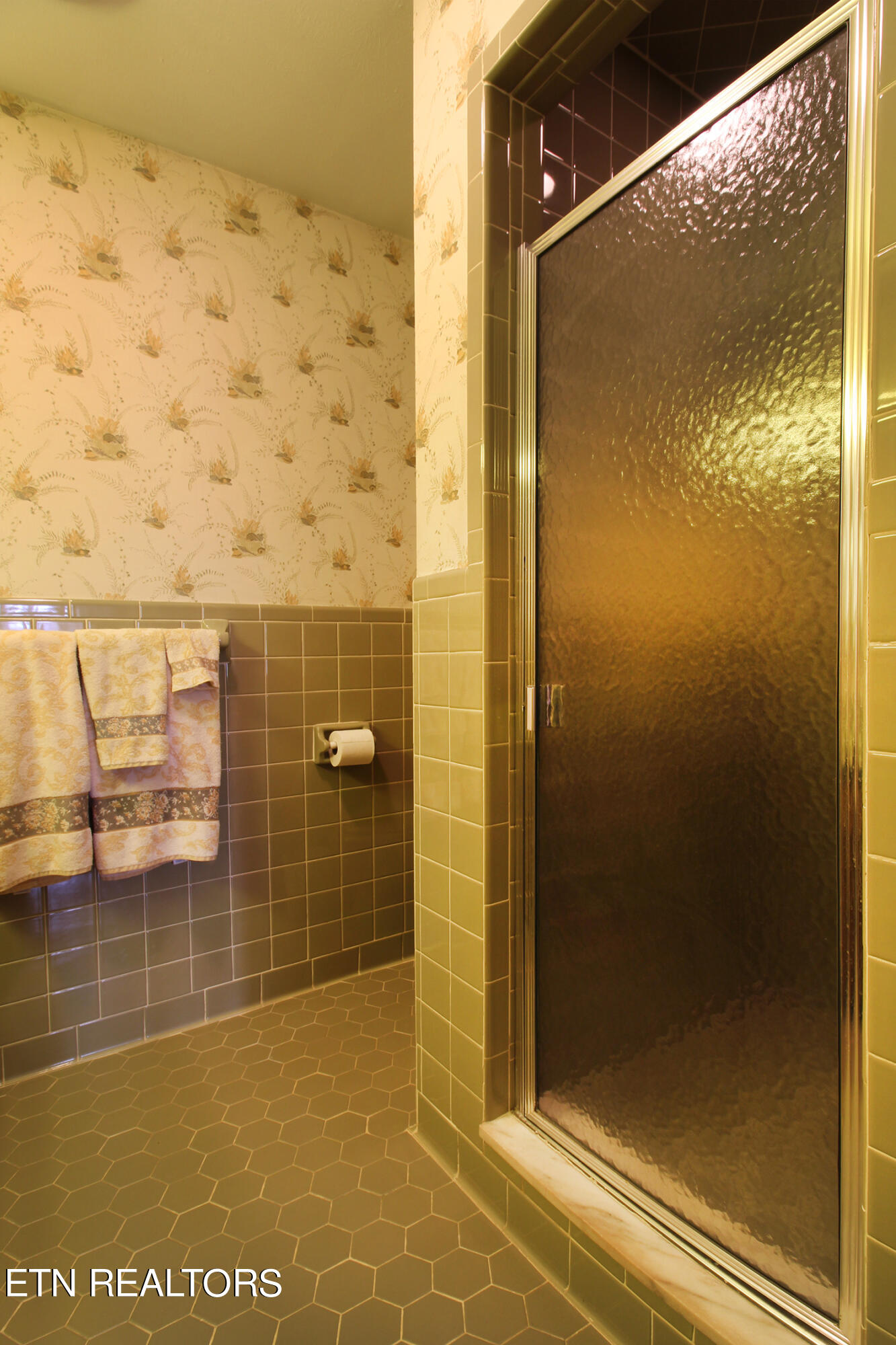 240 Island Ford Road Rocky Top, TN 37769 - Photo 37 of 60 Bathroom