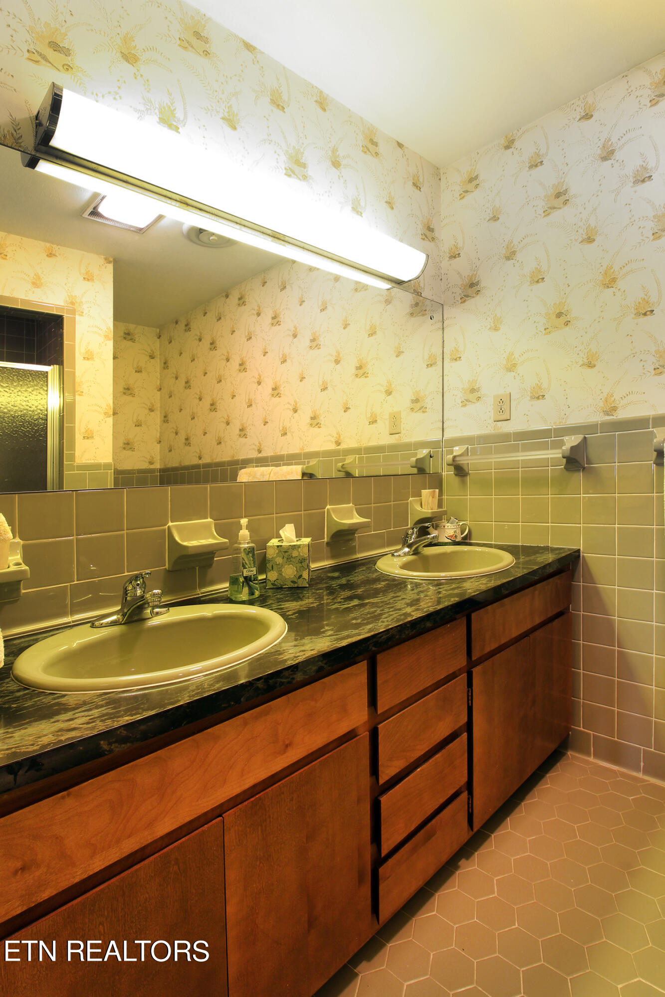 240 Island Ford Road Rocky Top, TN 37769 - Photo 38 of 60 Bathroom