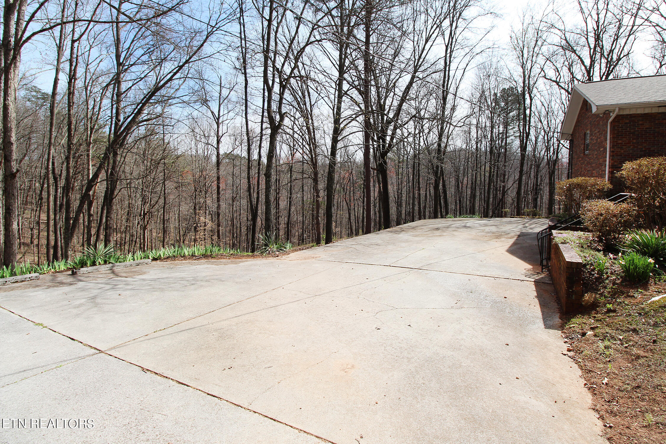 240 Island Ford Road Rocky Top, TN 37769 - Photo 58 of 60 Driveway