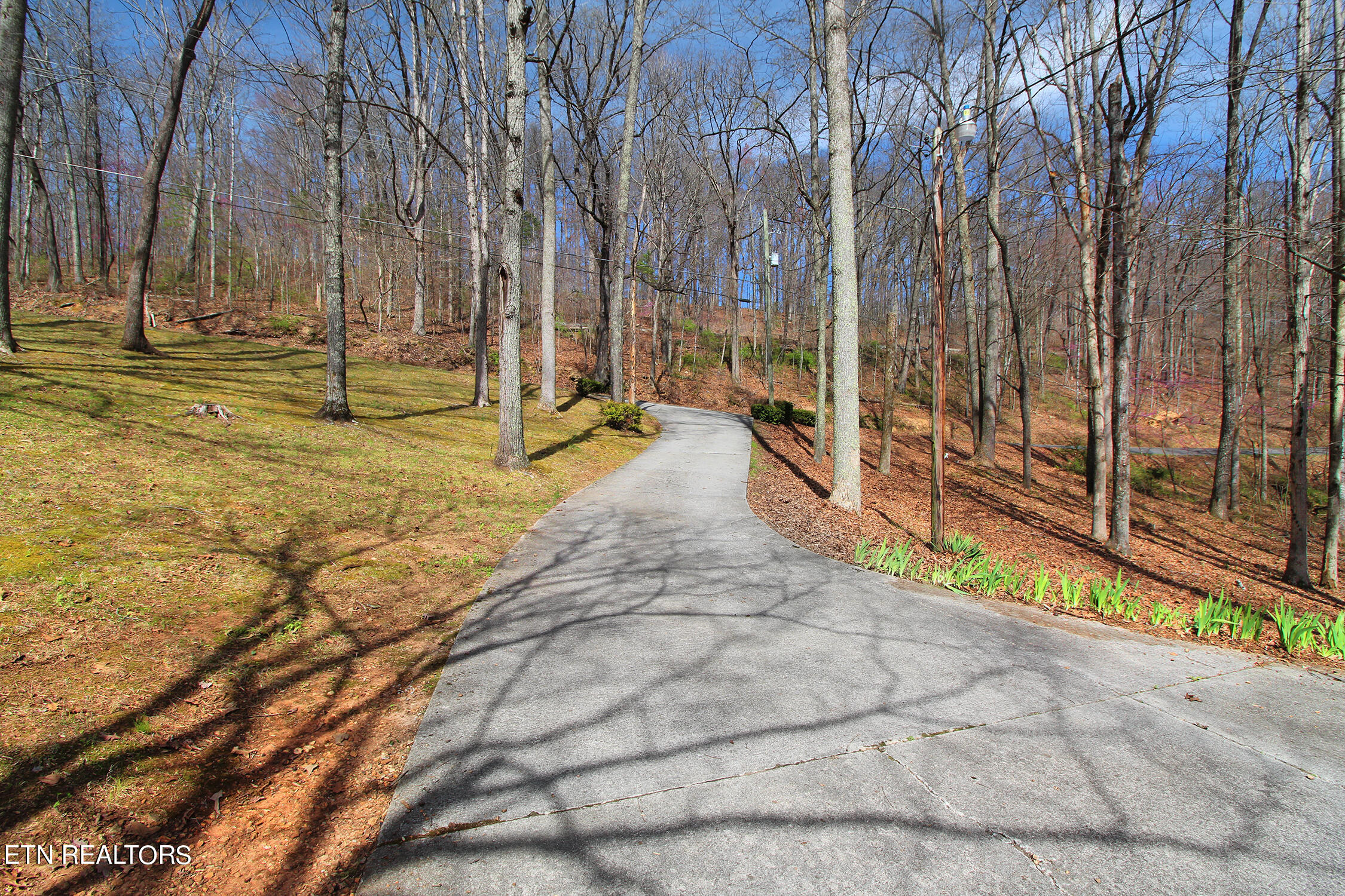 240 Island Ford Road Rocky Top, TN 37769 - Photo 8 of 60 Front View