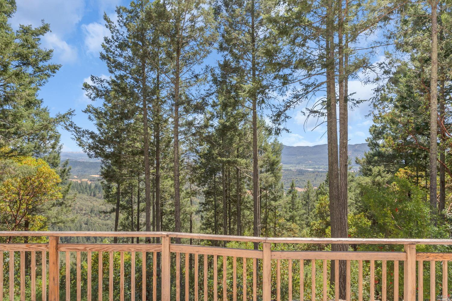 440 Cold Springs Road Angwin, CA 94508 - Photo 38 of 46