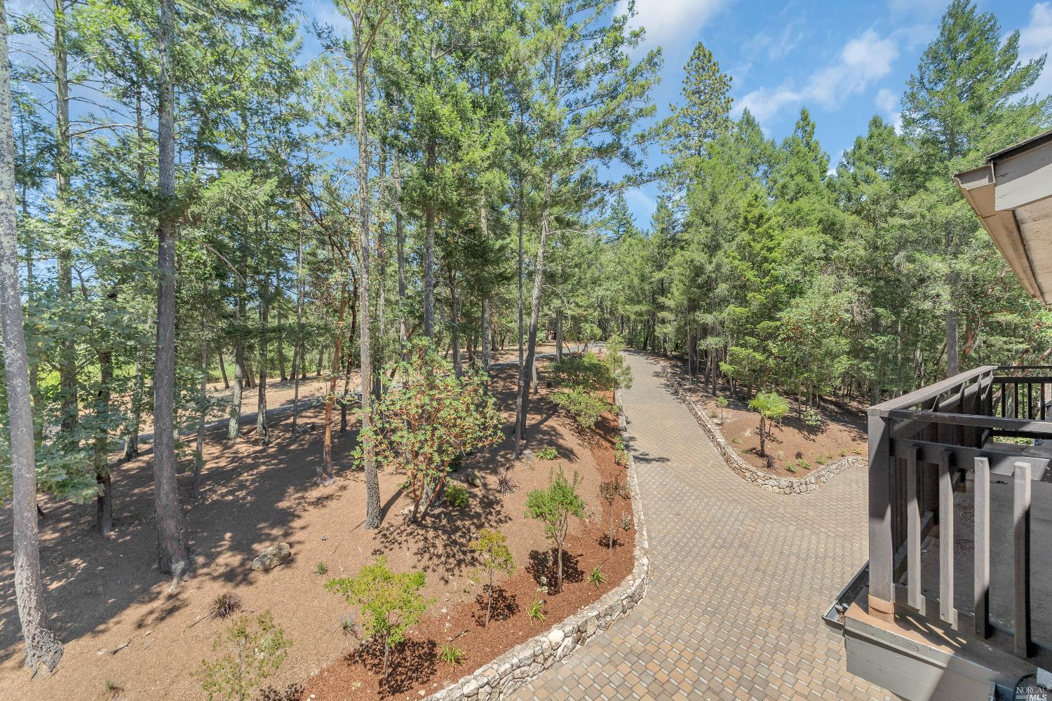 440 Cold Springs Road Angwin, CA 94508 - Photo 39 of 46