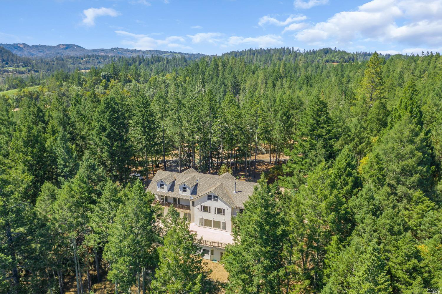 440 Cold Springs Road Angwin, CA 94508 - Photo 41 of 46