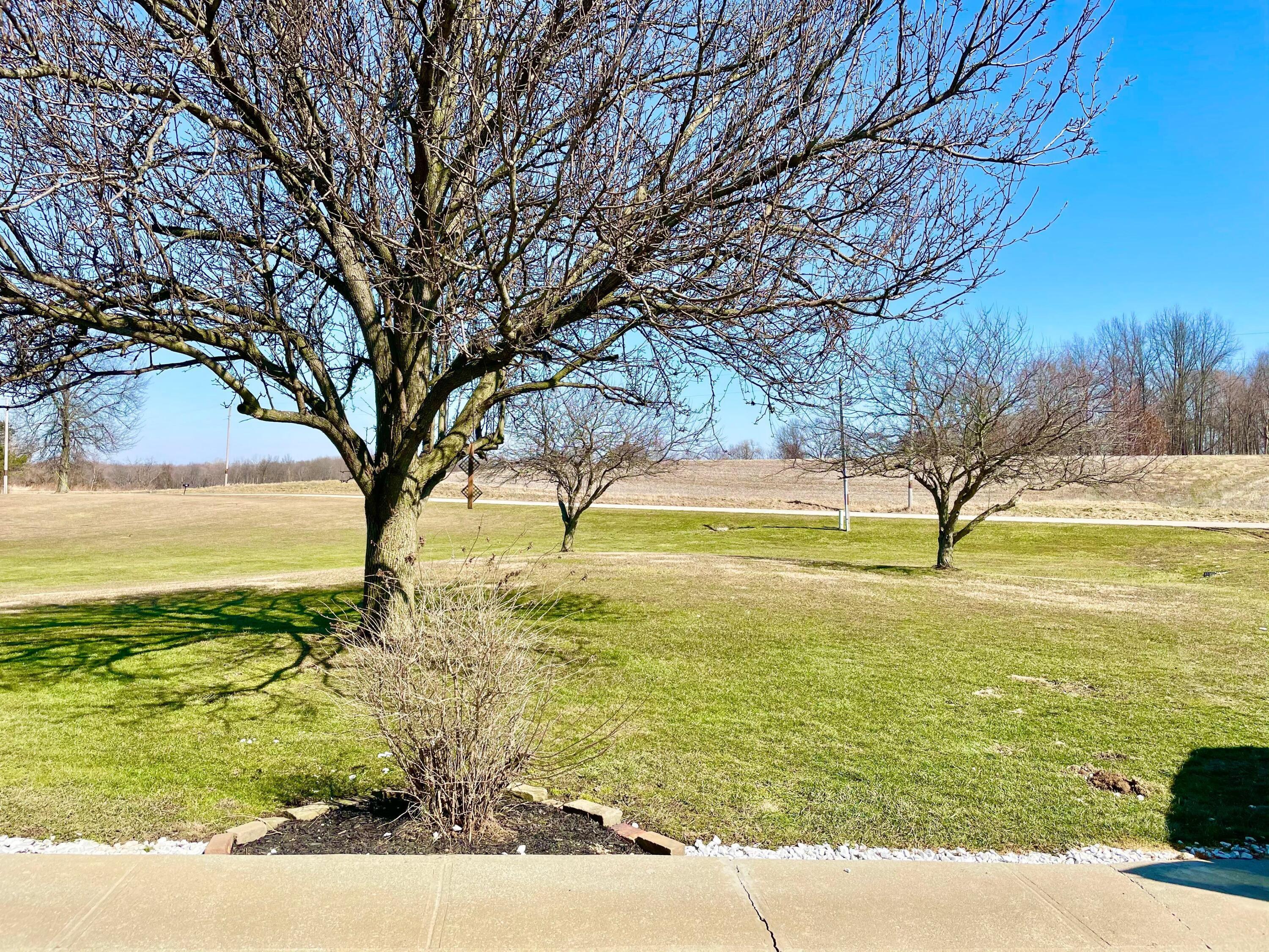 9741 Lafayette Road Johnstown, OH 43031 - Photo 8 of 50 Gallery Image 8
