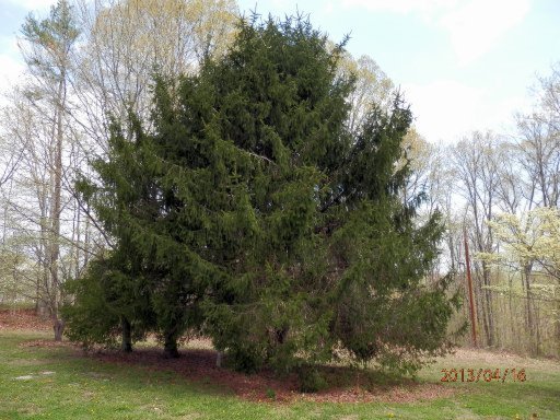 849 Pinecrest Road Jacksboro, TN 37757 - Photo 29 of 31 Additional Photo