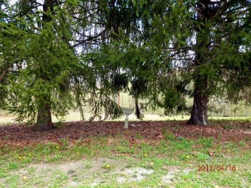 849 Pinecrest Road Jacksboro, TN 37757 - Photo 30 of 31 Additional Photo