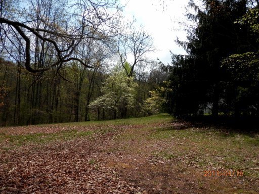 849 Pinecrest Road Jacksboro, TN 37757 - Photo 6 of 31 Additional Photo