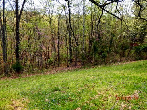 849 Pinecrest Road Jacksboro, TN 37757 - Photo 9 of 31 Additional Photo