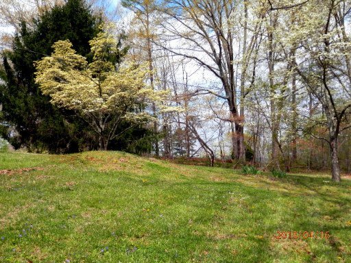 849 Pinecrest Road Jacksboro, TN 37757 - Photo 10 of 31 Additional Photo