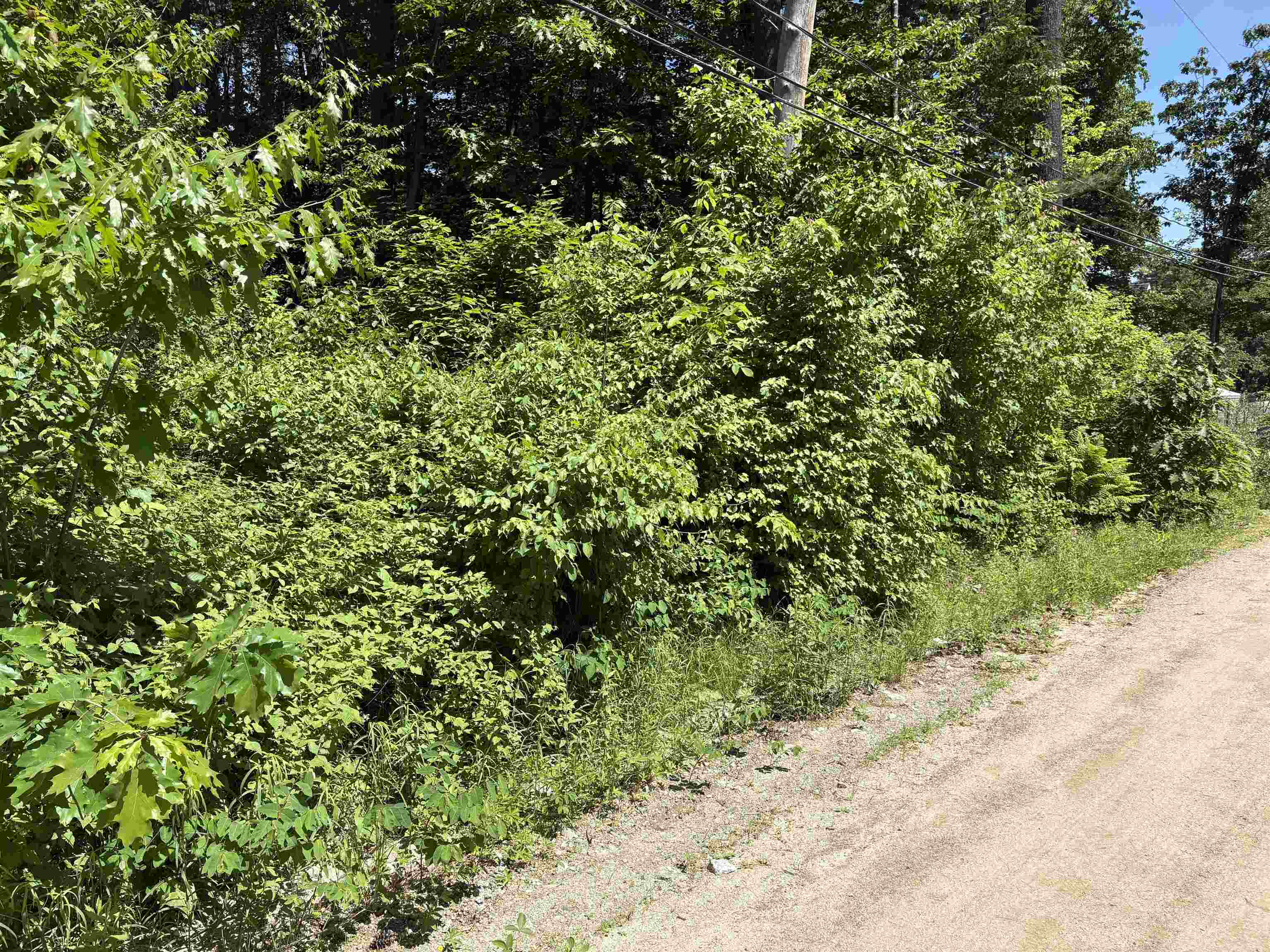 Lot 608 Rabbit Path Hillsborough, NH 03244 - Photo 4 of 5 Gallery Image 4