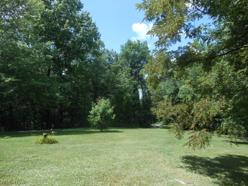 11411 Springfield Road North Lima, OH 44452 - Photo 22 of 25