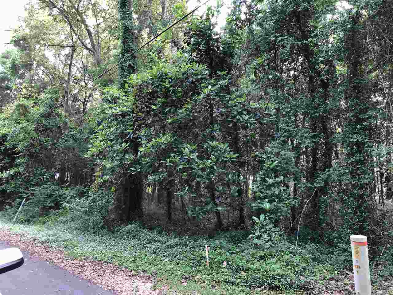0 Bay Street Magnolia Springs, AL 36555 - Photo 3 of 8