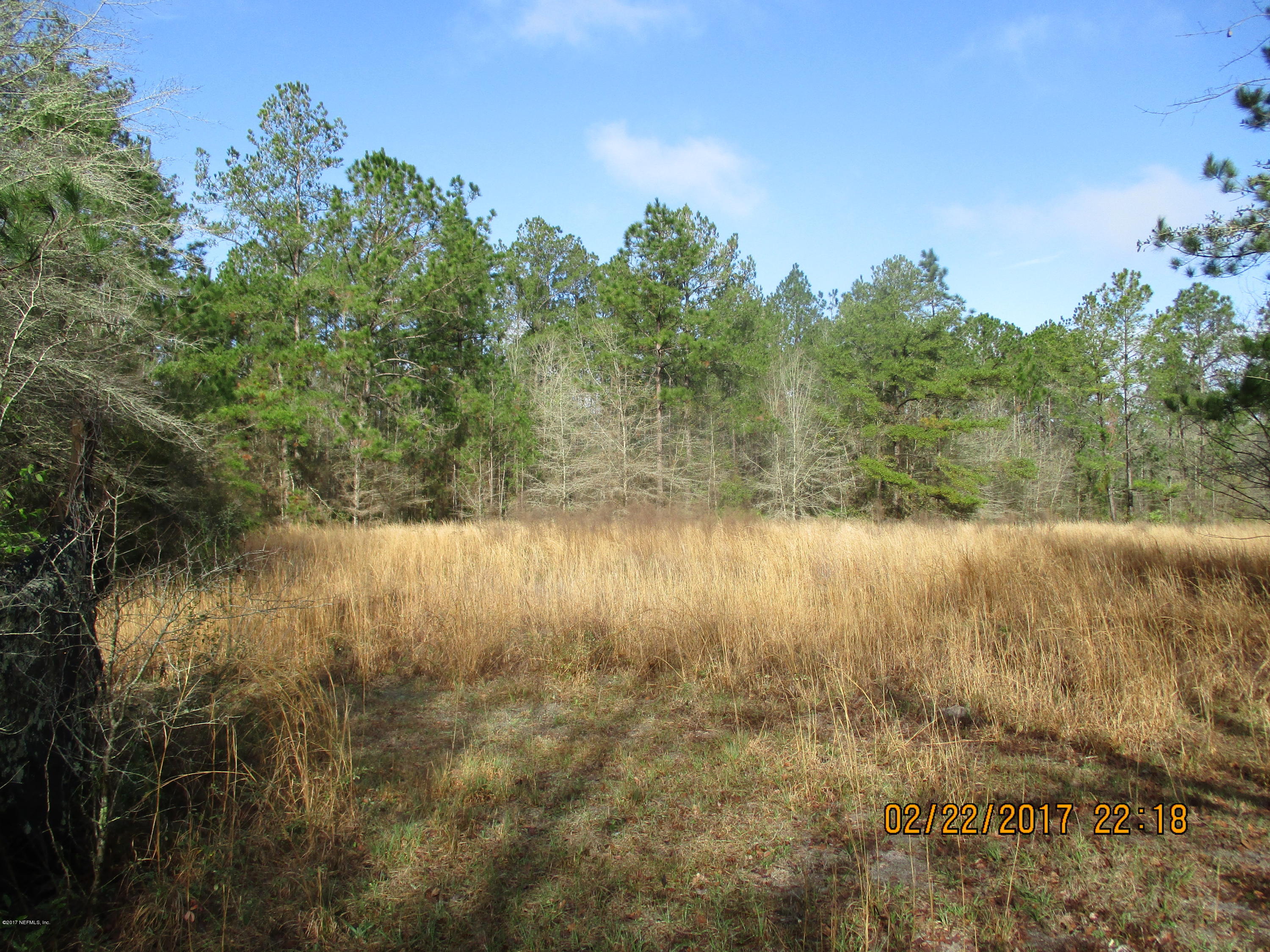 35527 Braddock Road Callahan, FL 32011 - Photo 2 of 10 IMG_1186
