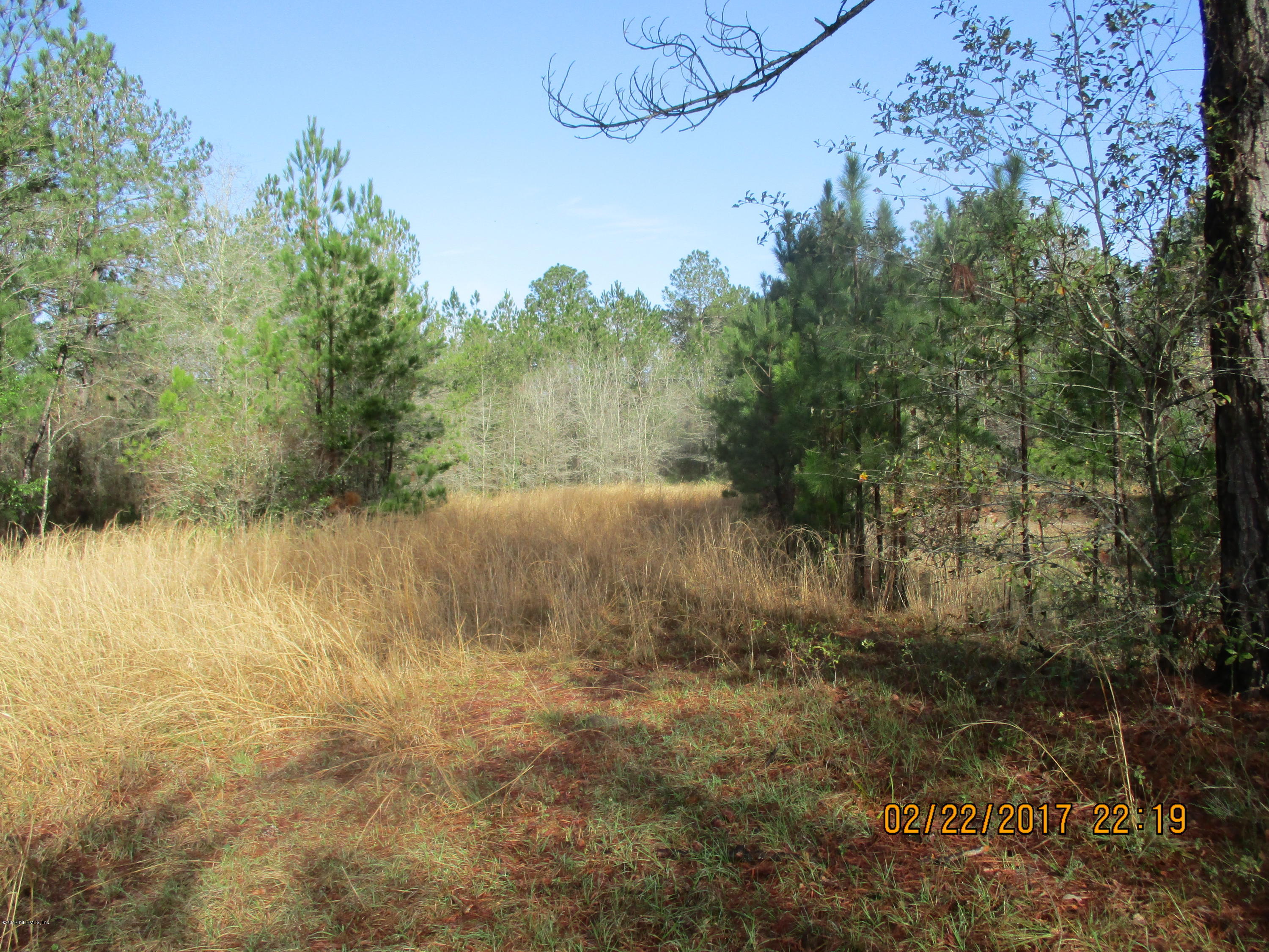 35527 Braddock Road Callahan, FL 32011 - Photo 5 of 10 IMG_1189