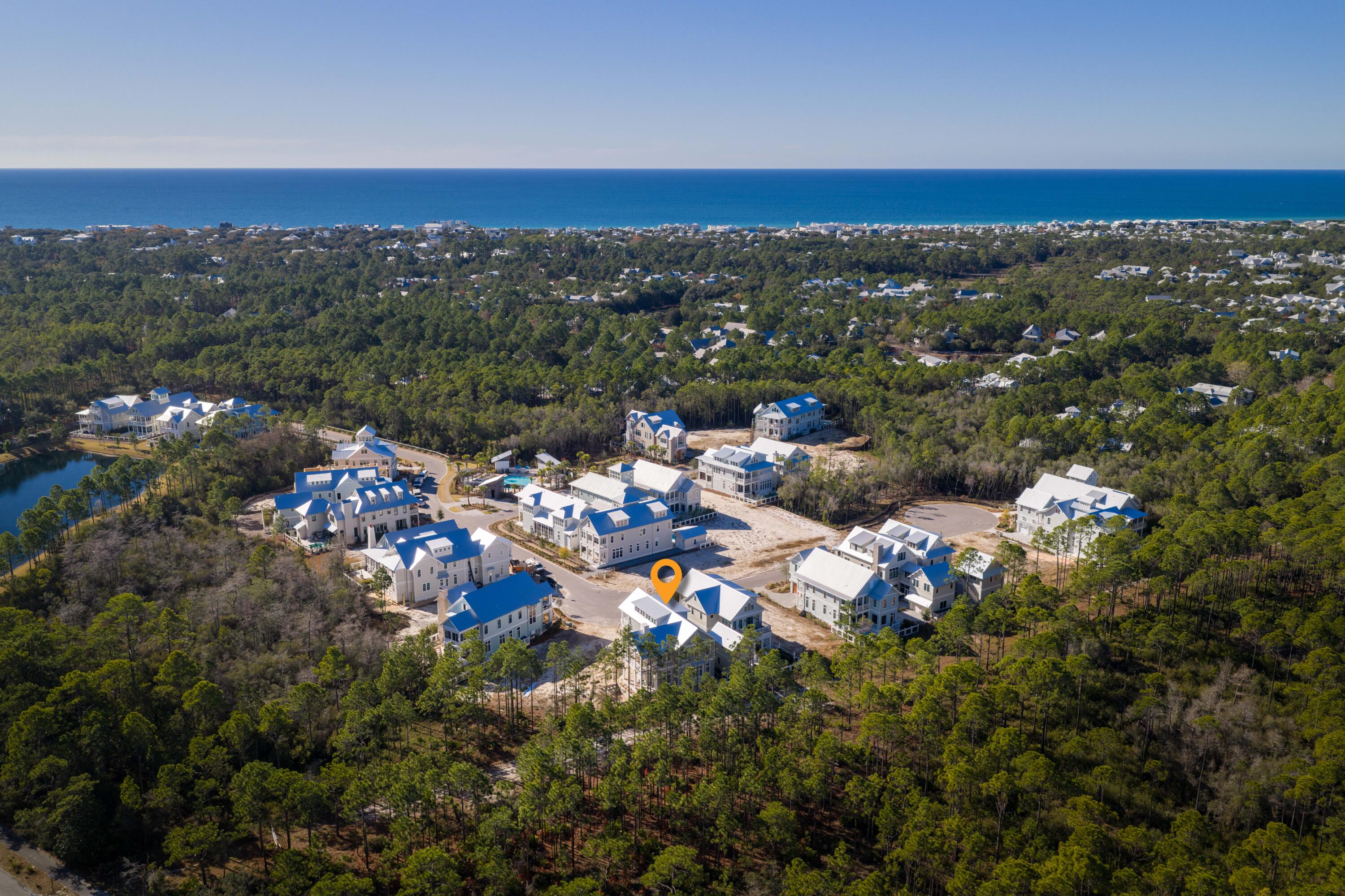 202 Climbing Rose Way Santa Rosa Beach, FL 32459 - Photo 3 of 7 DJI_20251220095846_0058_D-HDR-Edit