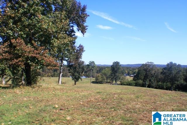 1785 Nunnally Lake Road Ohatchee, AL 36271 - Photo 49 of 50