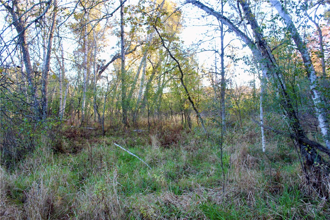 0 South Lowes Creek Road Eau Claire, WI 54701 - Photo 46 of 59