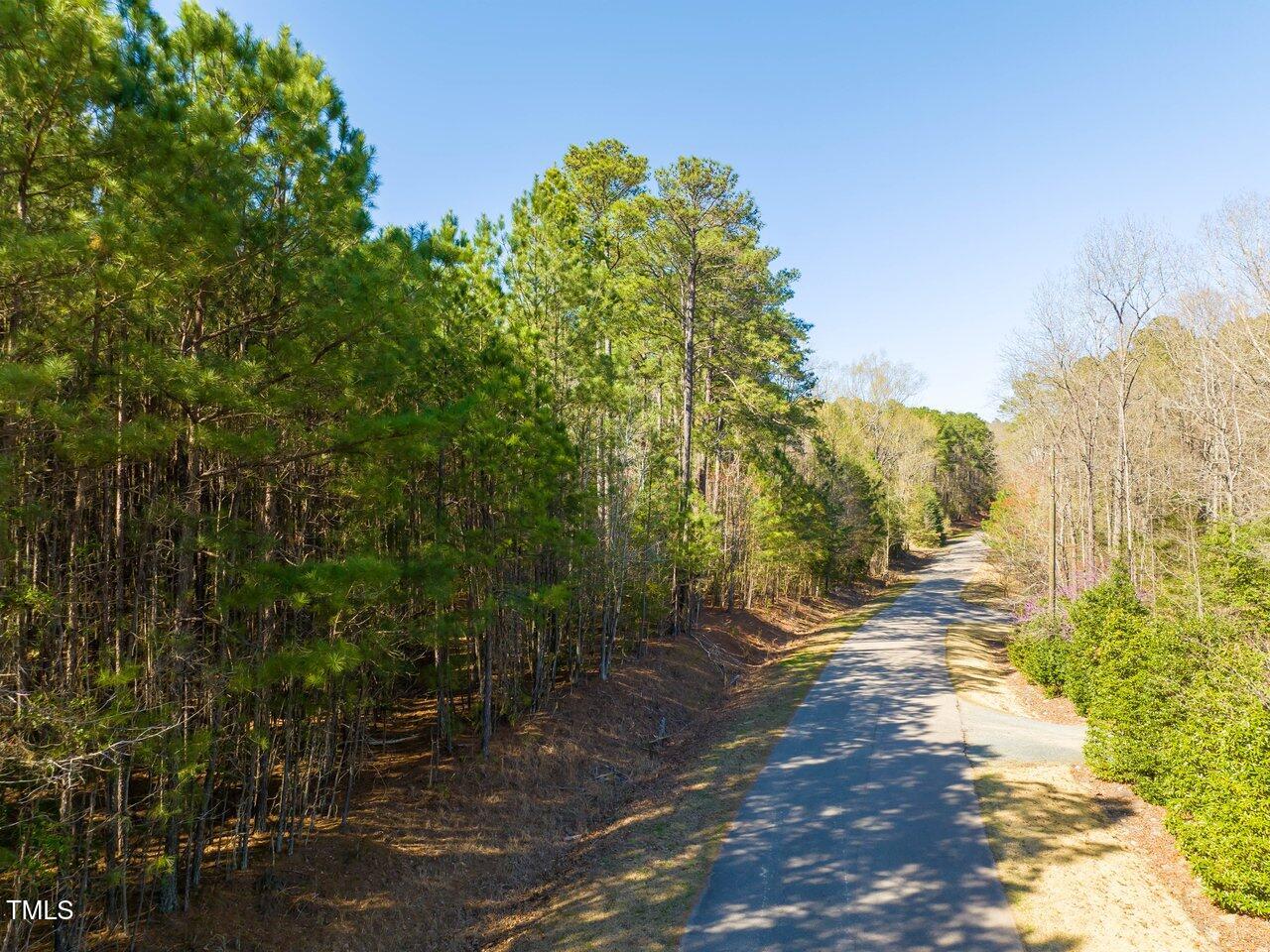 422 Lower Thrift Road New Hill, NC 27562 - Photo 10 of 14 a view of a yard with trees and bushes