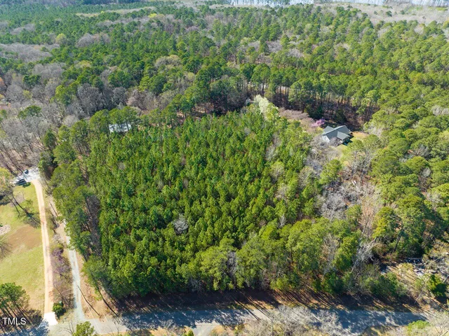 a view of a garden with plants
