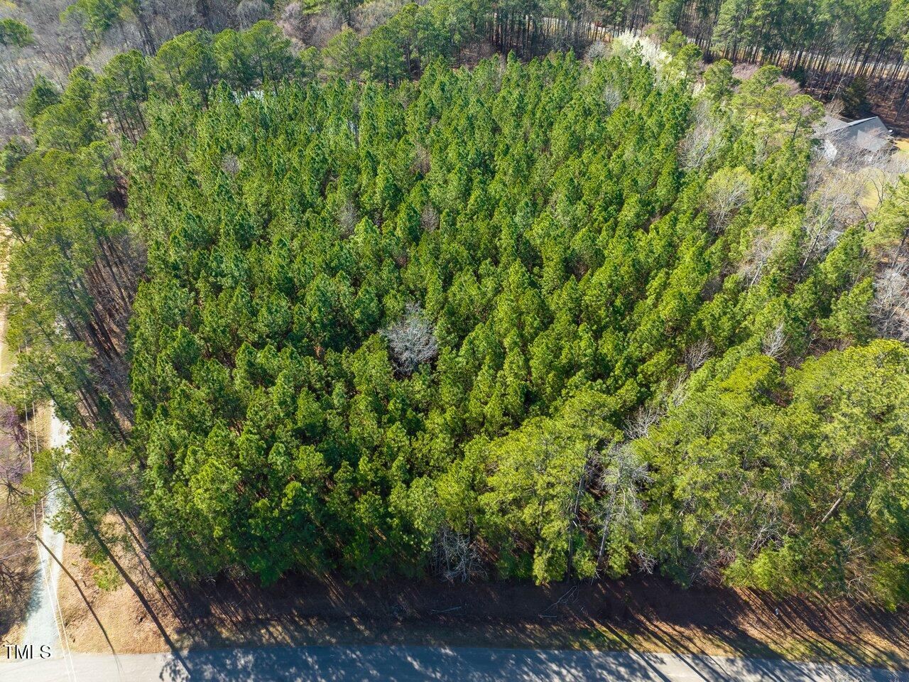 422 Lower Thrift Road New Hill, NC 27562 - Photo 3 of 14 a view of a yard