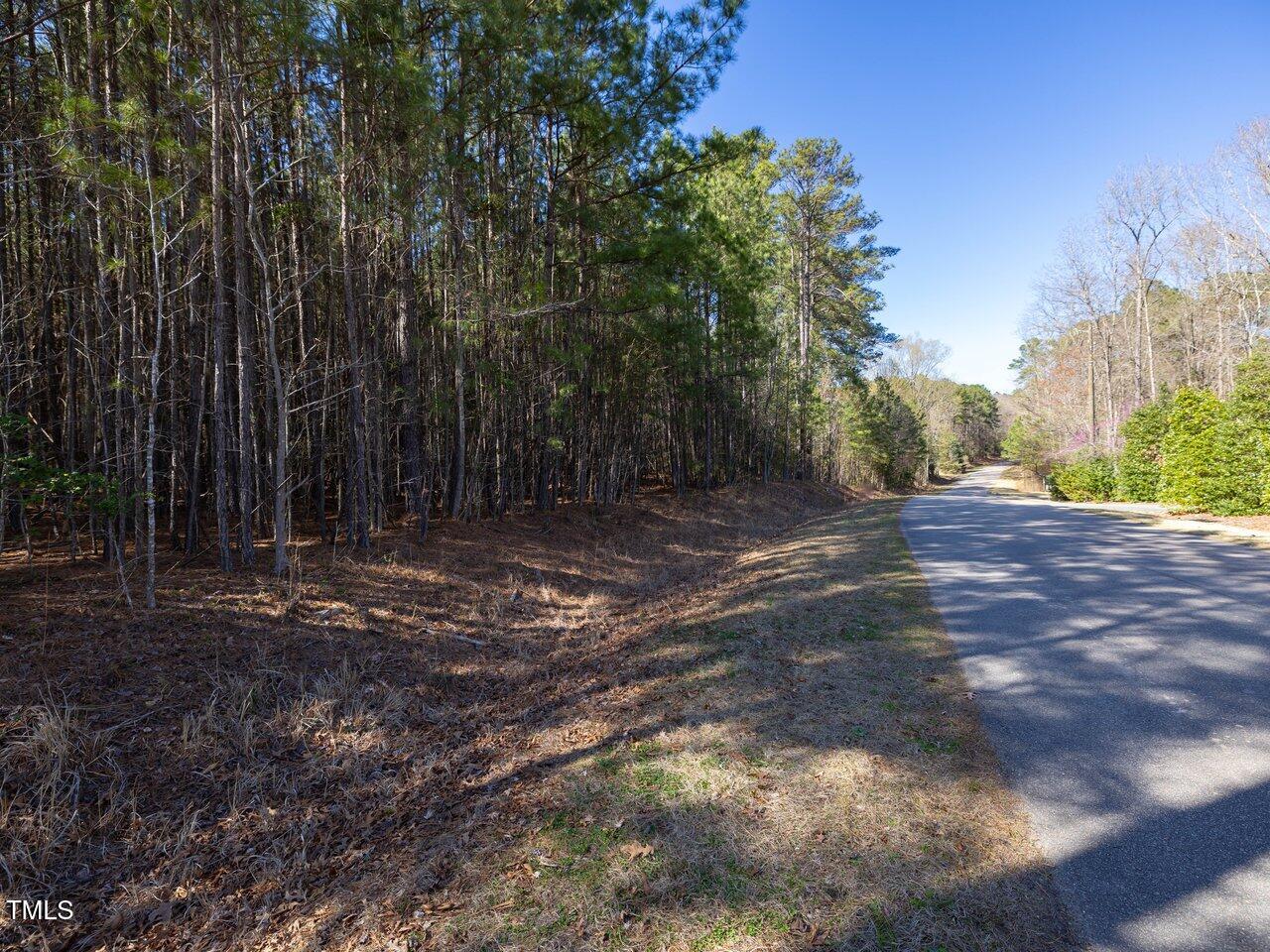 422 Lower Thrift Road New Hill, NC 27562 - Photo 4 of 14 a view of backyard with green space