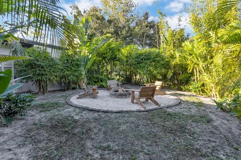 a view of a park with large trees