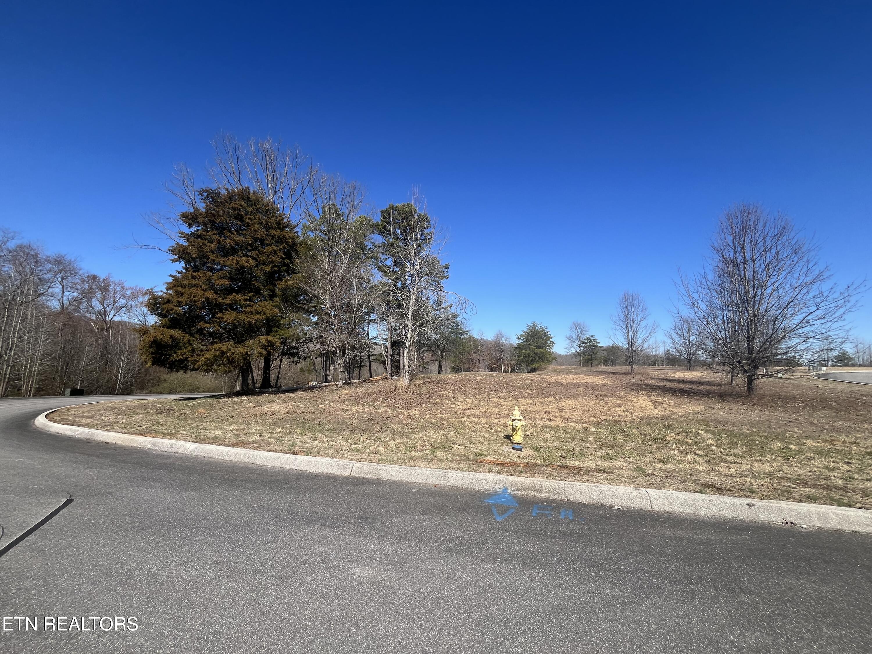 101 Meadow Lane Harriman, TN 37748 - Photo 4 of 9 IMG_1256