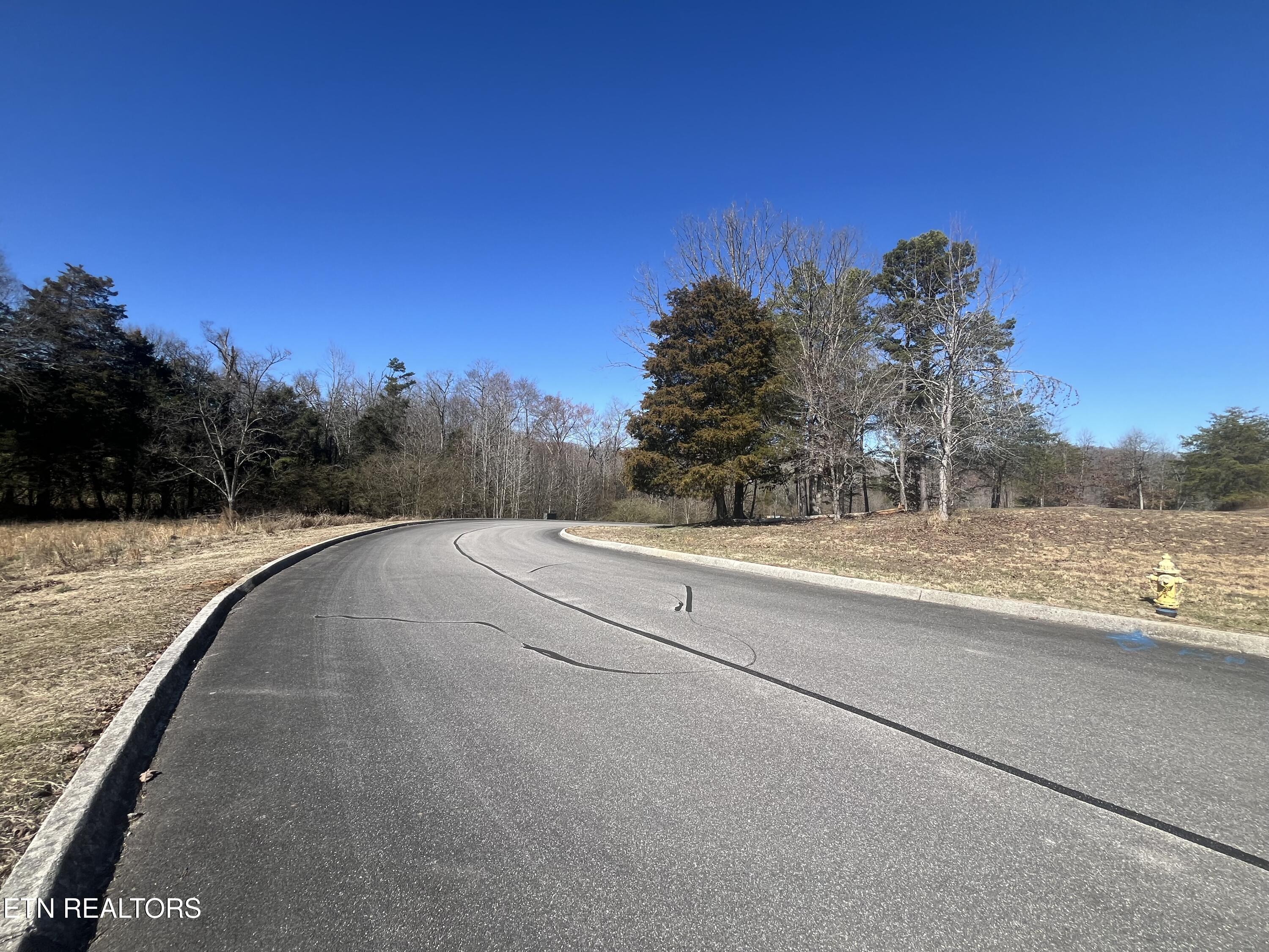 101 Meadow Lane Harriman, TN 37748 - Photo 5 of 9 IMG_1255