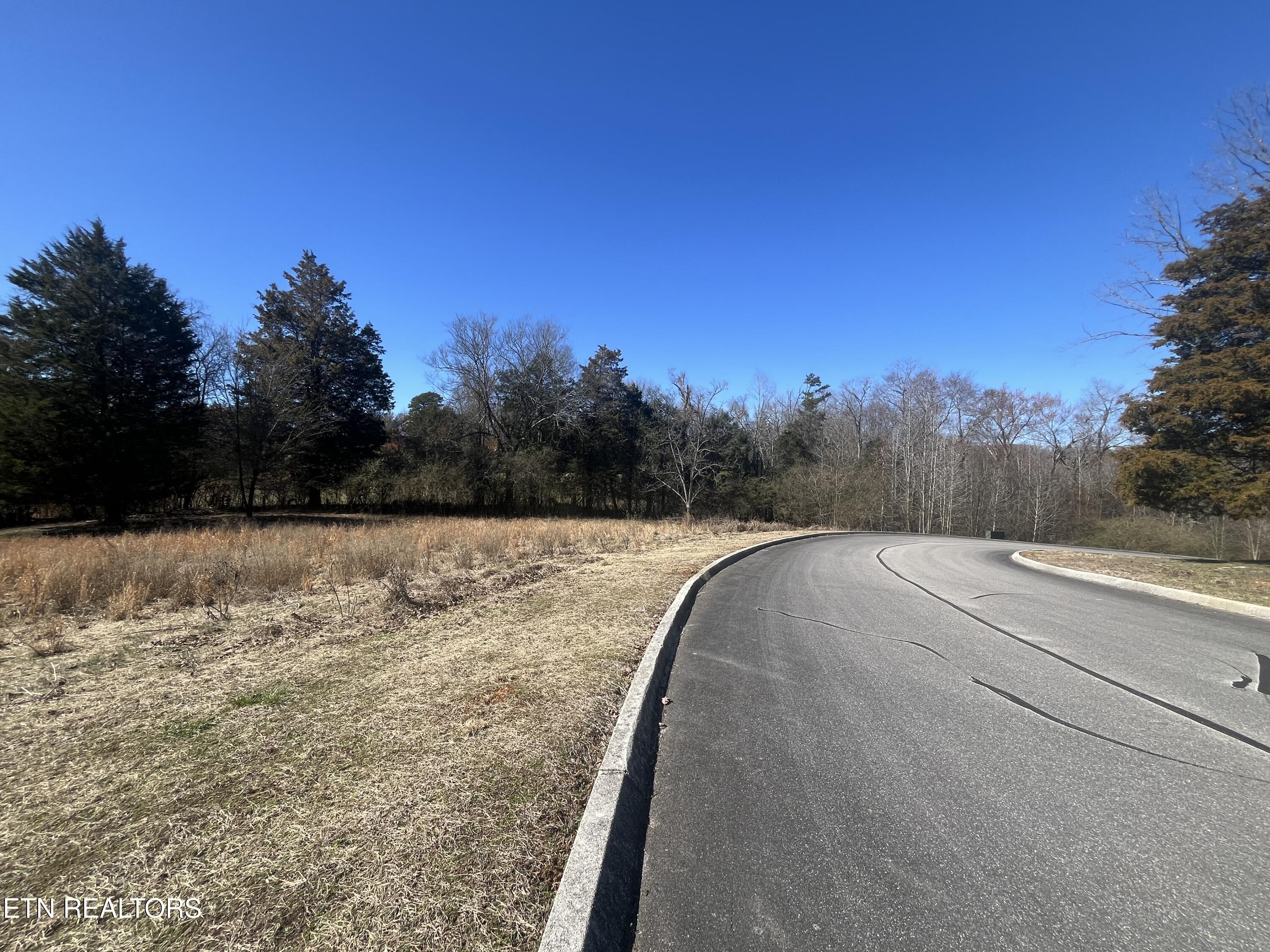 101 Meadow Lane Harriman, TN 37748 - Photo 6 of 9 IMG_1254