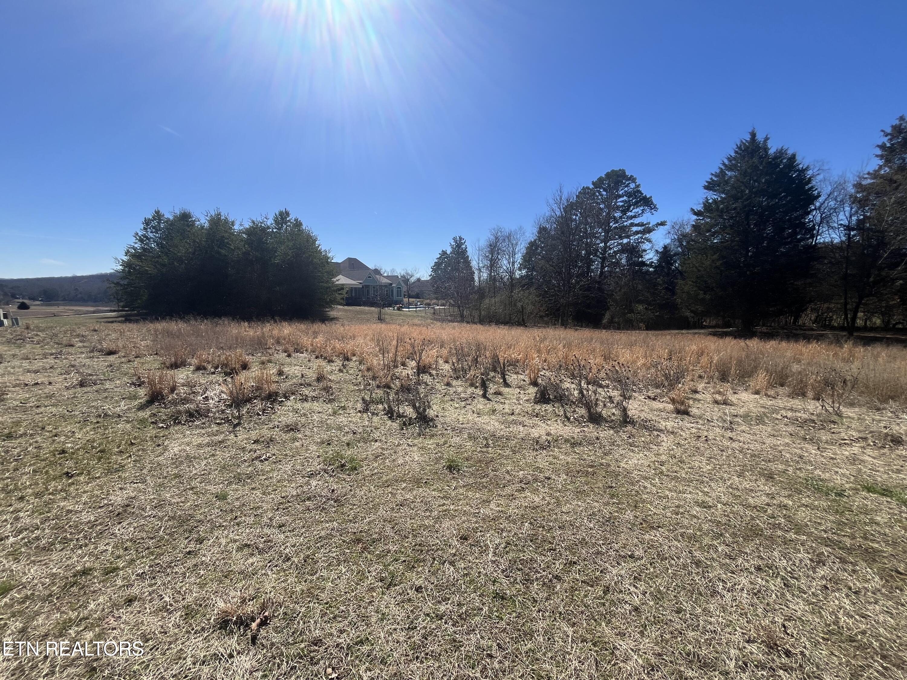 101 Meadow Lane Harriman, TN 37748 - Photo 7 of 9 IMG_1252