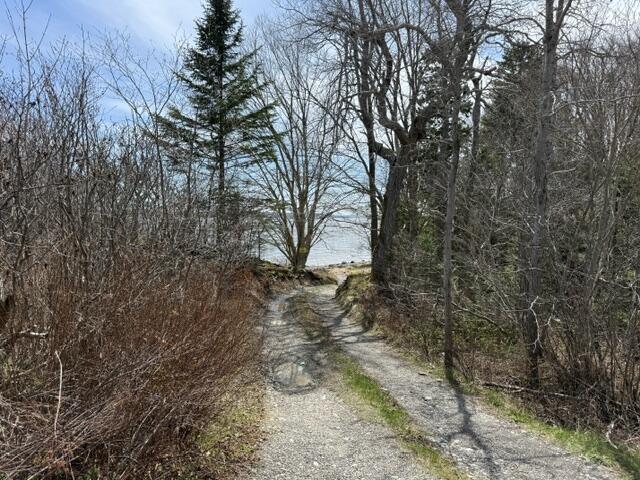 Lot 6 Holmes Bay Farms Road Whiting, ME 04691 - Photo 13 of 15 IMG_9076 (1)