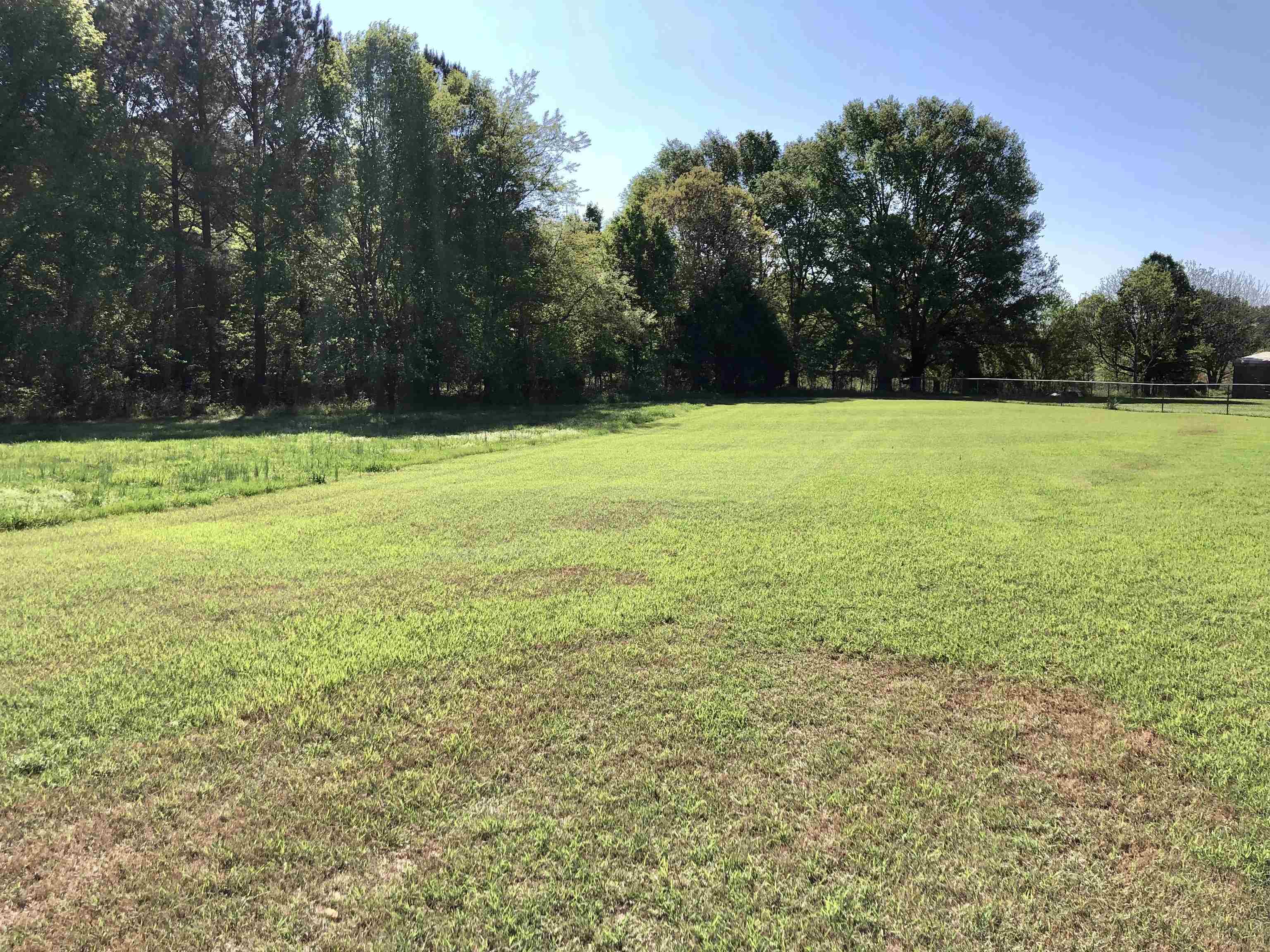 109 Archibald Road Chesnee, SC 29323 - Photo 16 of 17 Gallery Image 16