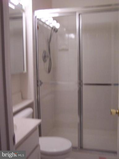 13206 Dauphine Street Silver Spring, MD 20906 - Photo 7 of 12 Master Bath